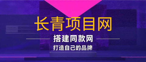 你还在到处找项目？还在当韭菜？我靠卖项目一个月收入5万+，曾经我也是个失败者。-长青终点站