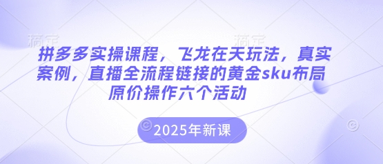 拼多多实操课程,飞龙在天玩法,真实案例,直播全流程链接的黄金sku布局原价操作六个活动-长青终点站