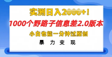 2025抖音1000个野路子信息差最新玩法，一分钟过原创，暴力变现月入几k-长青终点站