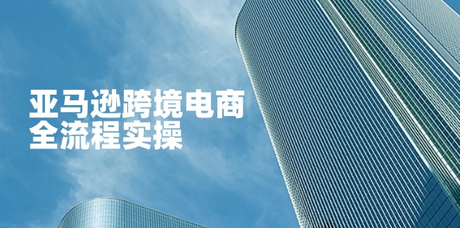 （14252期）亚马逊跨境电商全流程实操，教你从零开始，掌握店铺运营与广告技巧-长青终点站