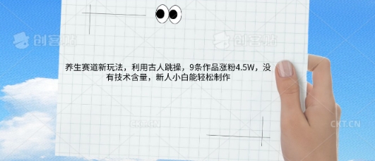 AI养生赛道新玩法，10条作品涨粉5.2W，操作简单，新人小白能轻松制作-长青终点站