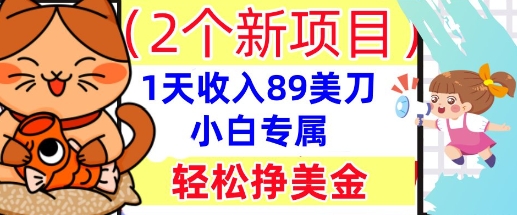 2个新项目，轻松挣美金， 1天收入89美刀，小白专属，干货分享-长青终点站