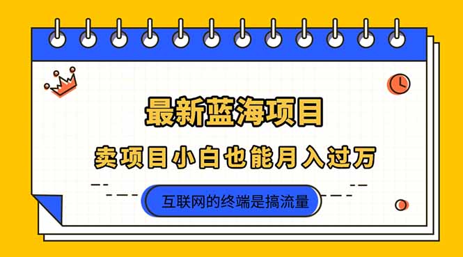 （14289期）2025年最新蓝海项目，卖项目小白也能月入过万-长青终点站