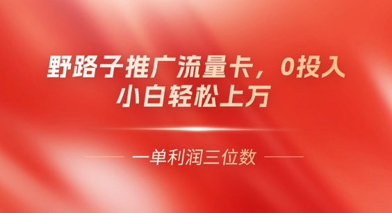 0门槛推广流量卡,一单收益上百,0投入,小白月入过W-长青终点站