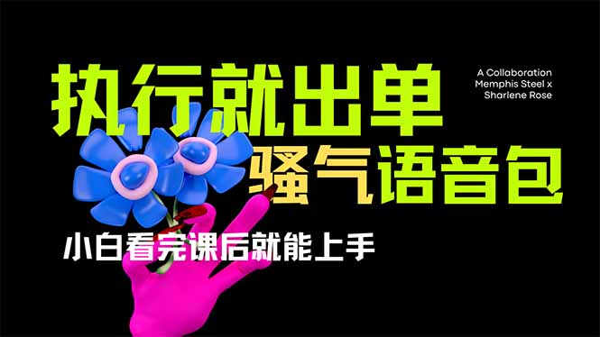 （14170期）爆火全网的开车导航骚气语音包,只要执行就出单，小白看完课程就能实操...-长青终点站