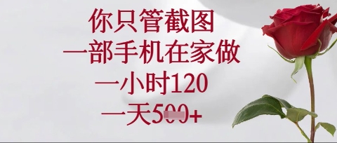 你只管截图,一部手机在家操作,一小时120.一天5张【揭秘】-长青终点站