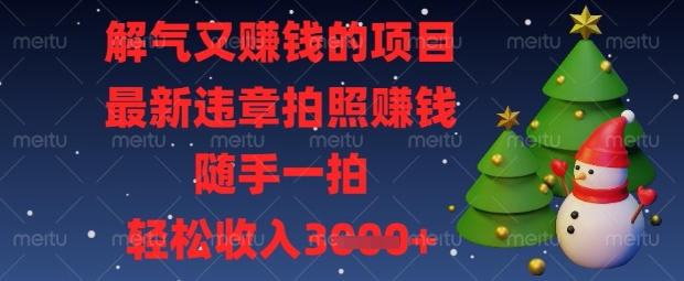 解气又挣钱的项目，最新违章拍照挣钱，随手一拍，轻松收入数张【揭秘】-长青终点站